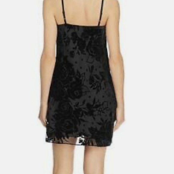 PARKER floral velvet burnout black Mini dress cowl neck 4 small - Picture 2 of 13